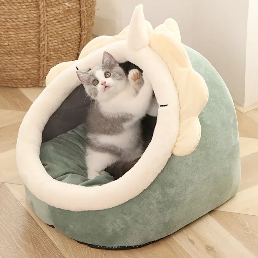 🐱  For Cats