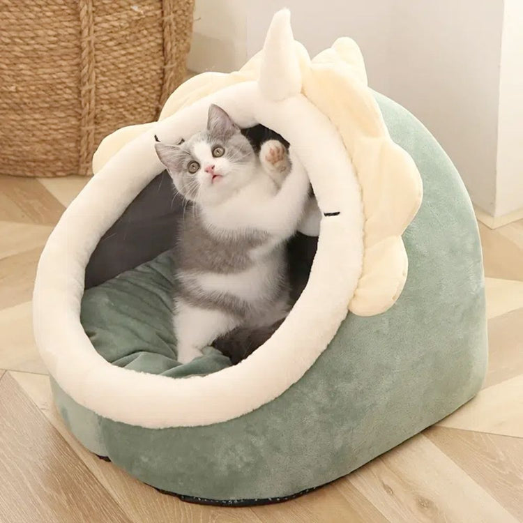 🐱  For Cats