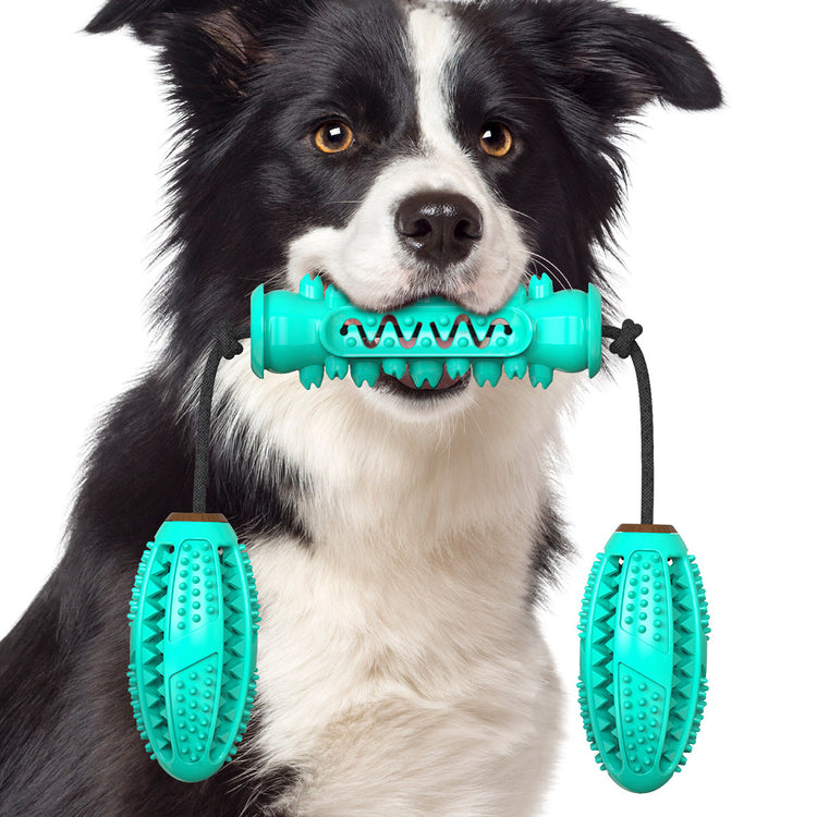 Dog section